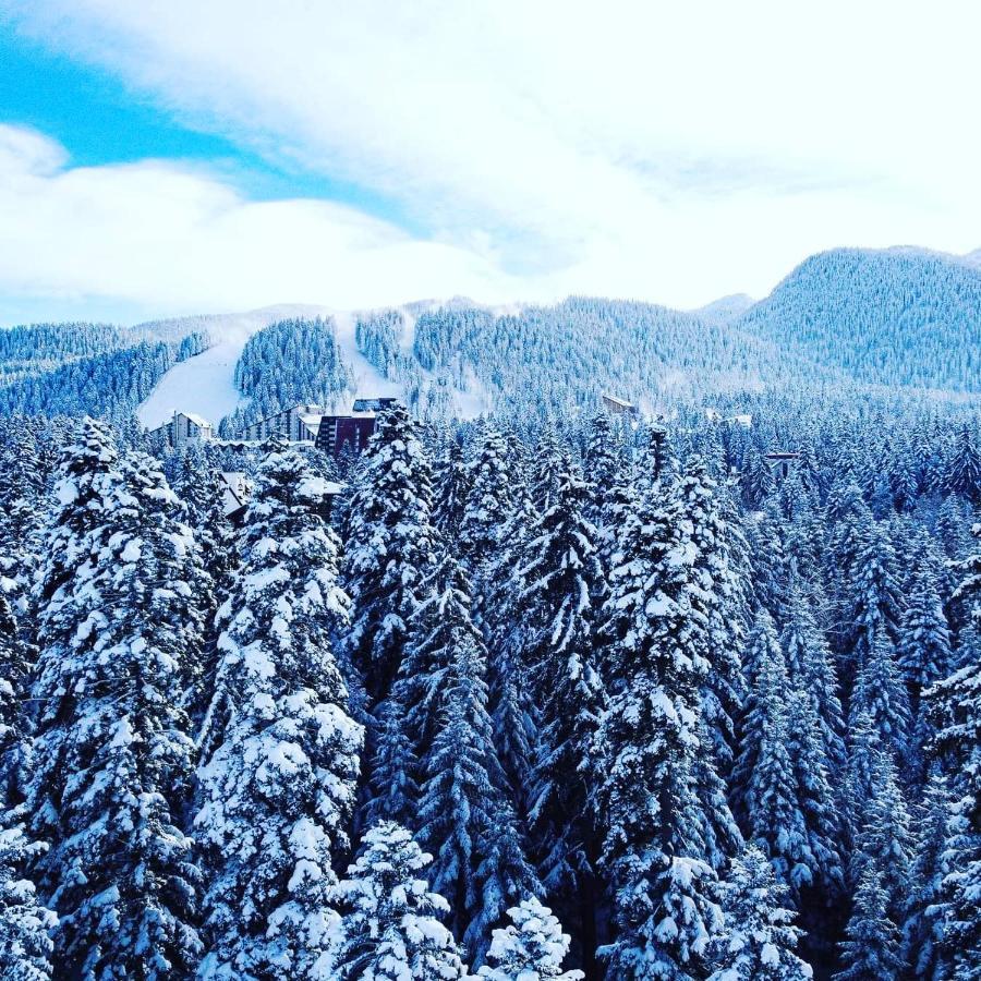 Mountain Paradise In Aparthotel Borovets Gardens Eksteriør bilde