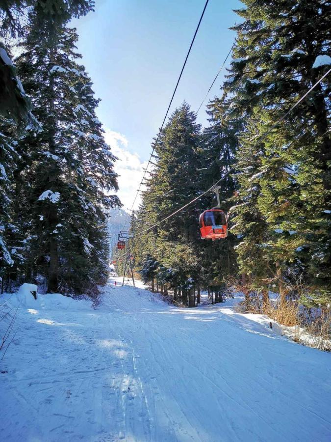 Mountain Paradise In Aparthotel Borovets Gardens Eksteriør bilde
